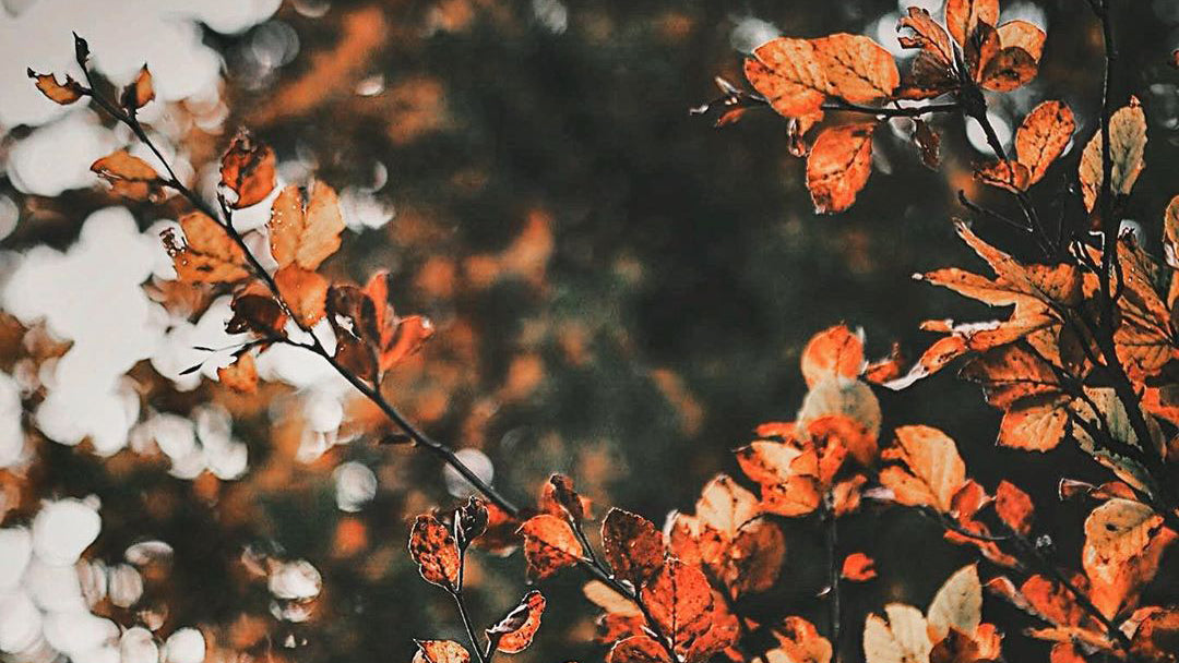 Gratitude