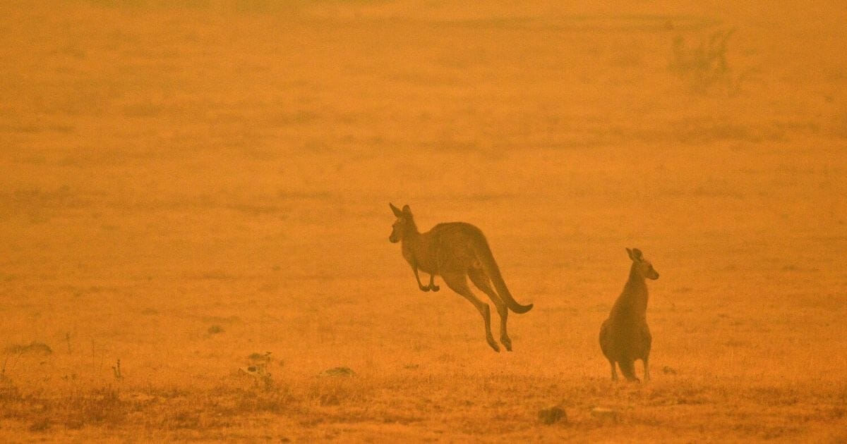 Helping out down under