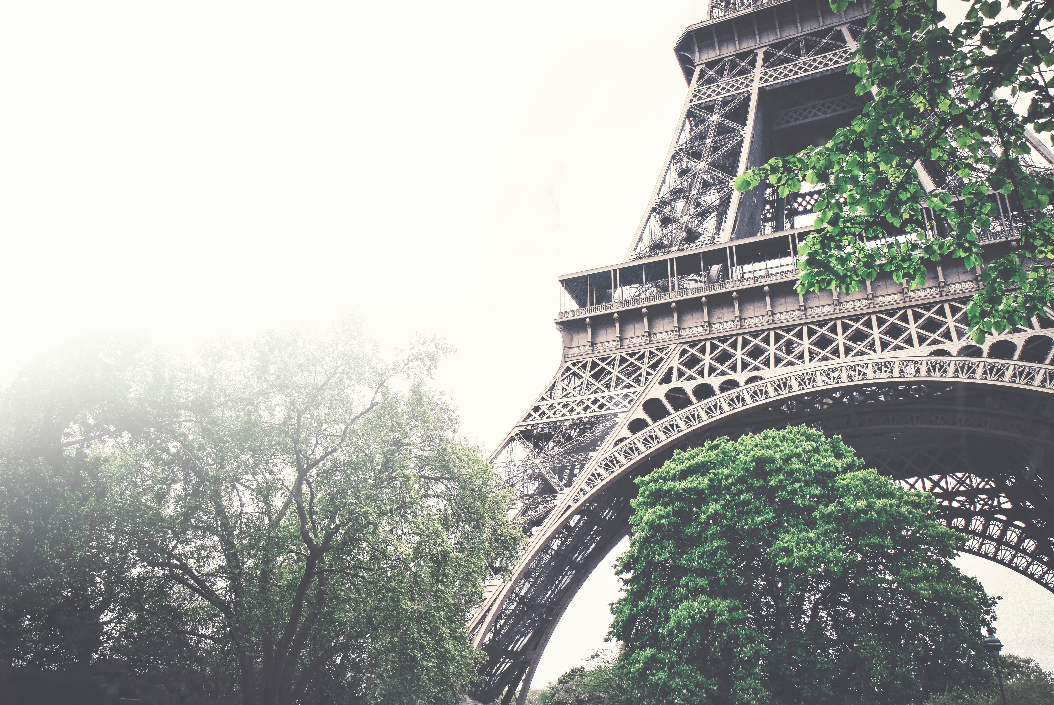 Paris. Merci Beaucoup.