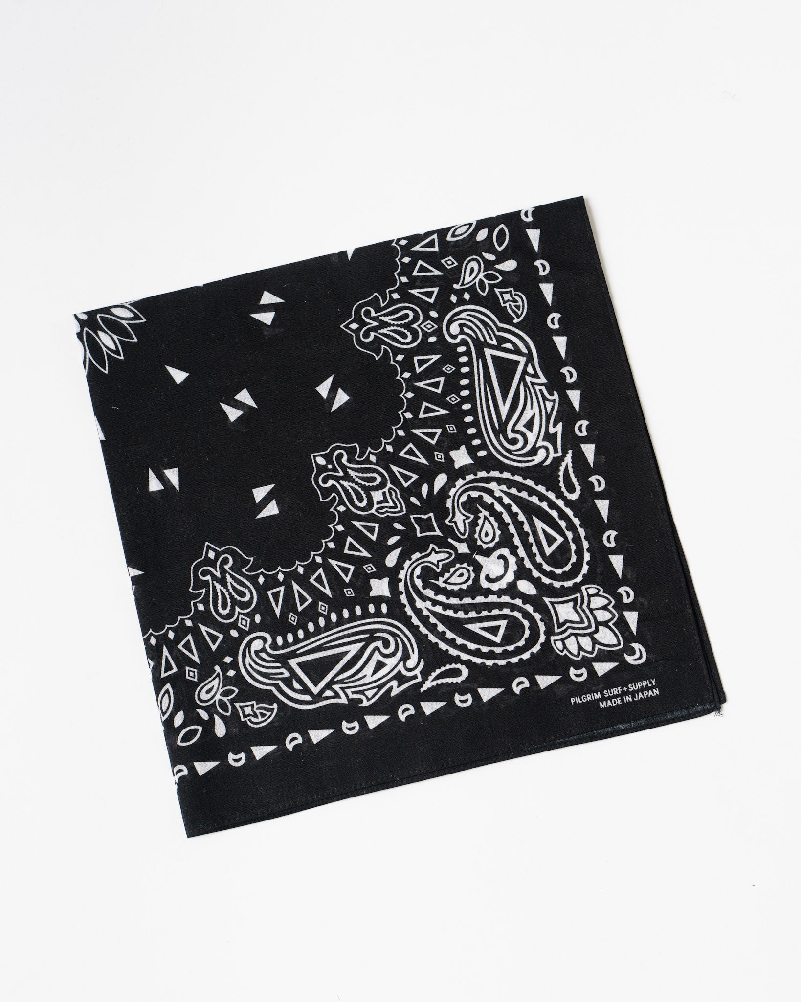 Pilgrim Paisley Bandana in Black