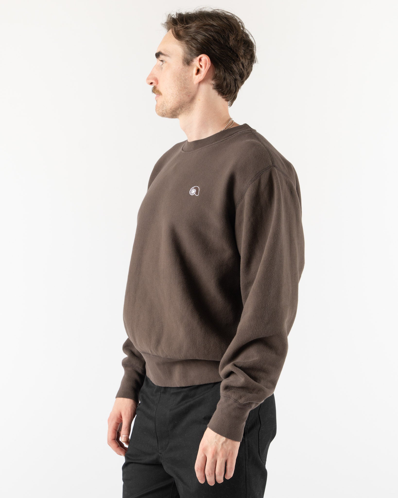 Aaron Levine Crewneck Sweatshirt in Brown