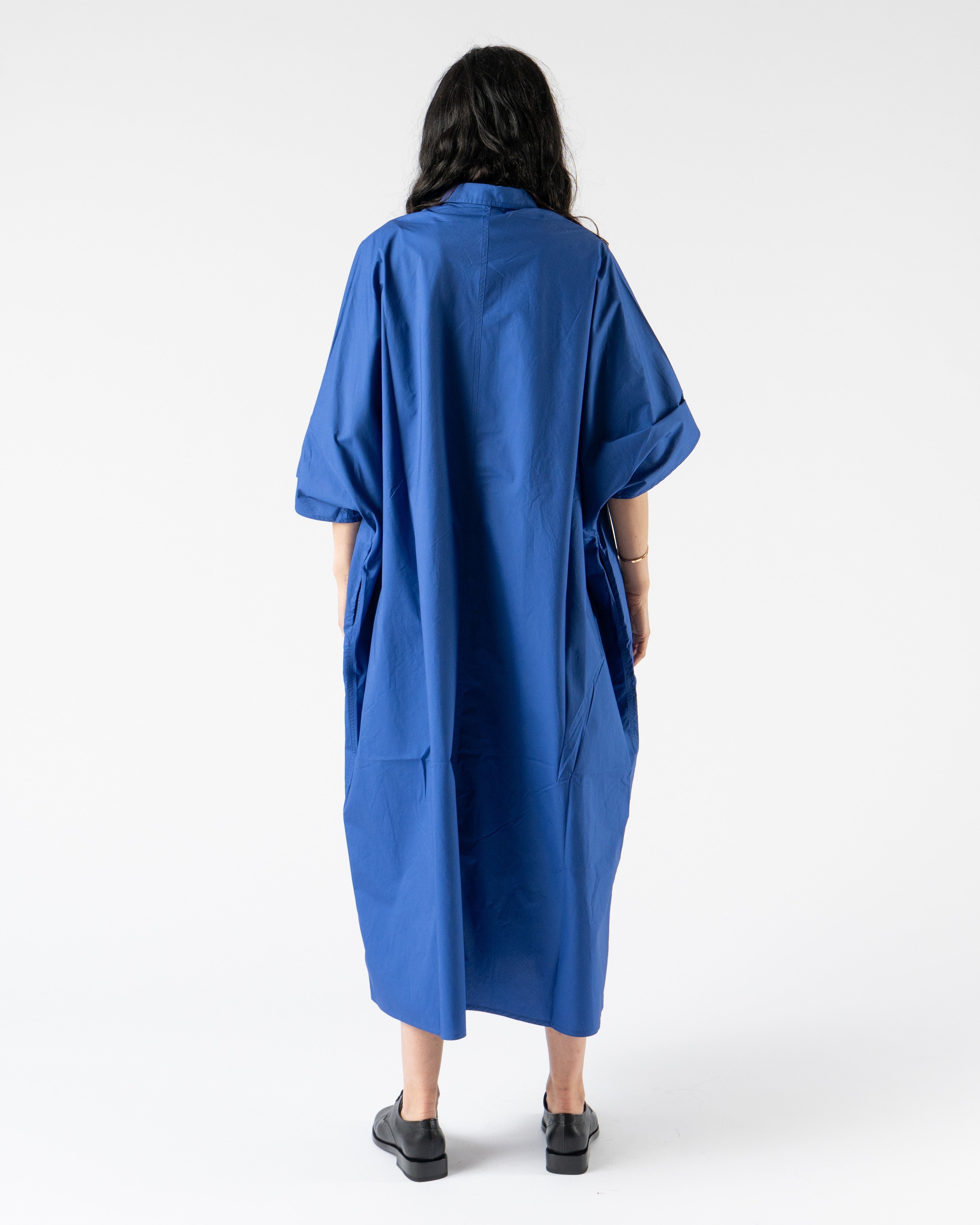 Sofie D'Hoore Davoli Dress in Deleft