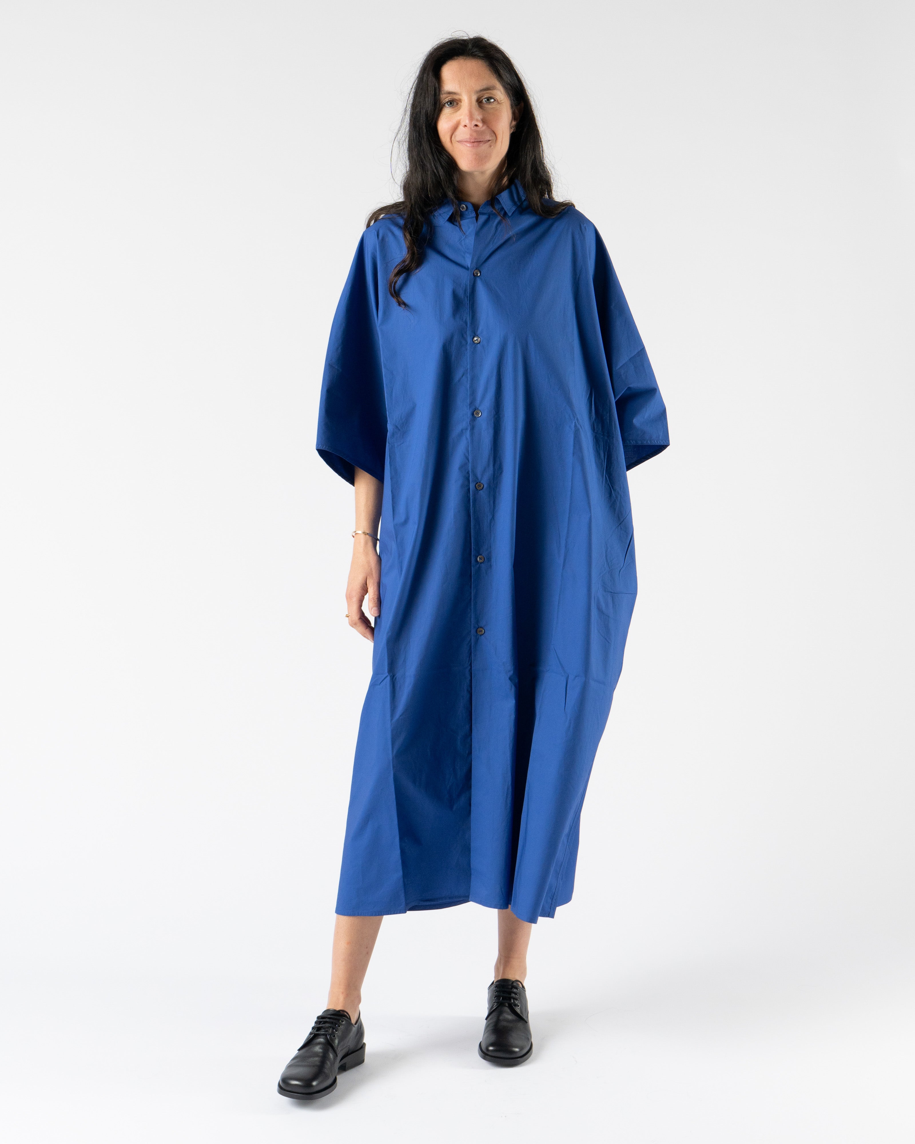 Sofie D'Hoore Davoli Dress in Deleft