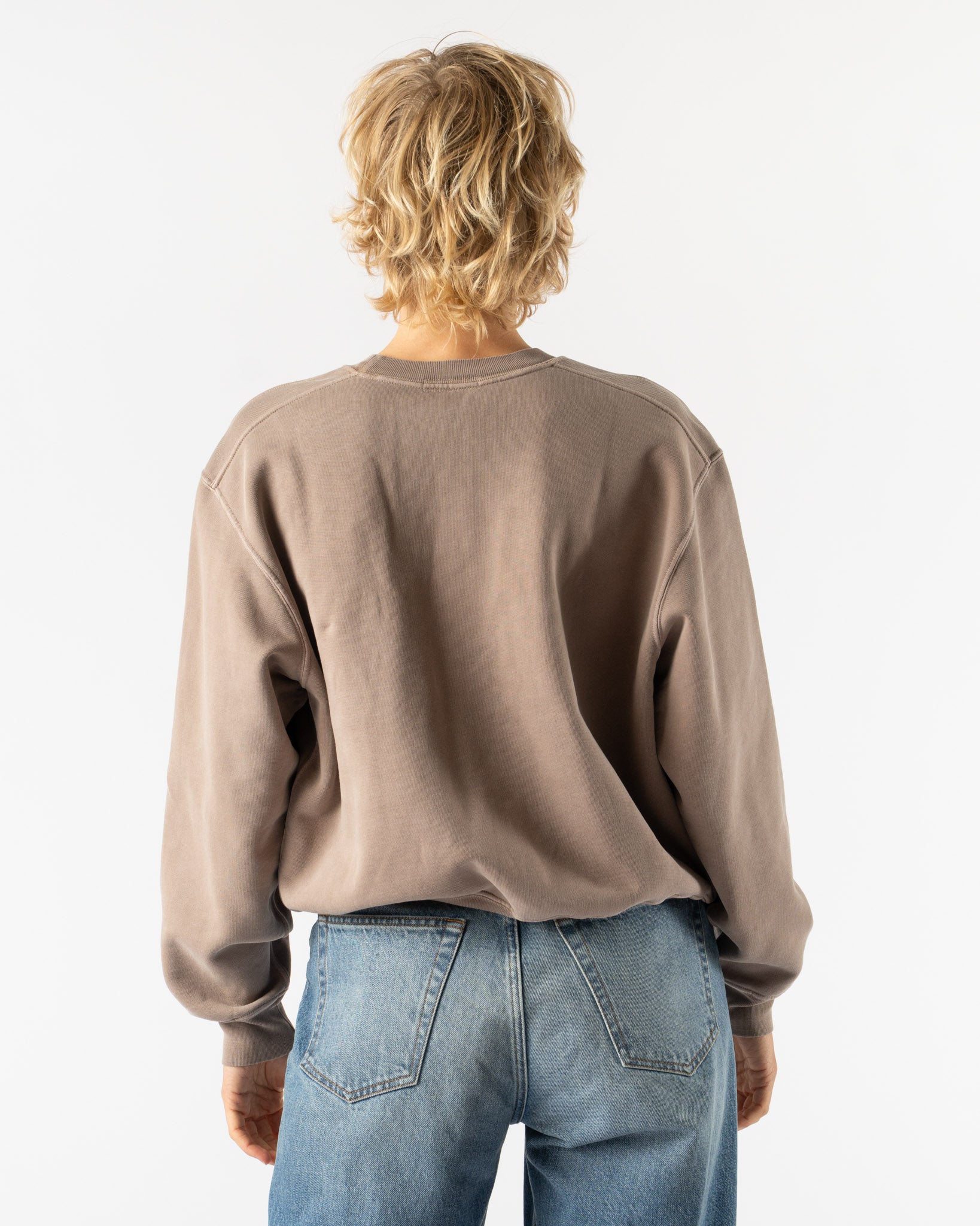 Lady White Co. Mini Crewneck in Pigment Elm