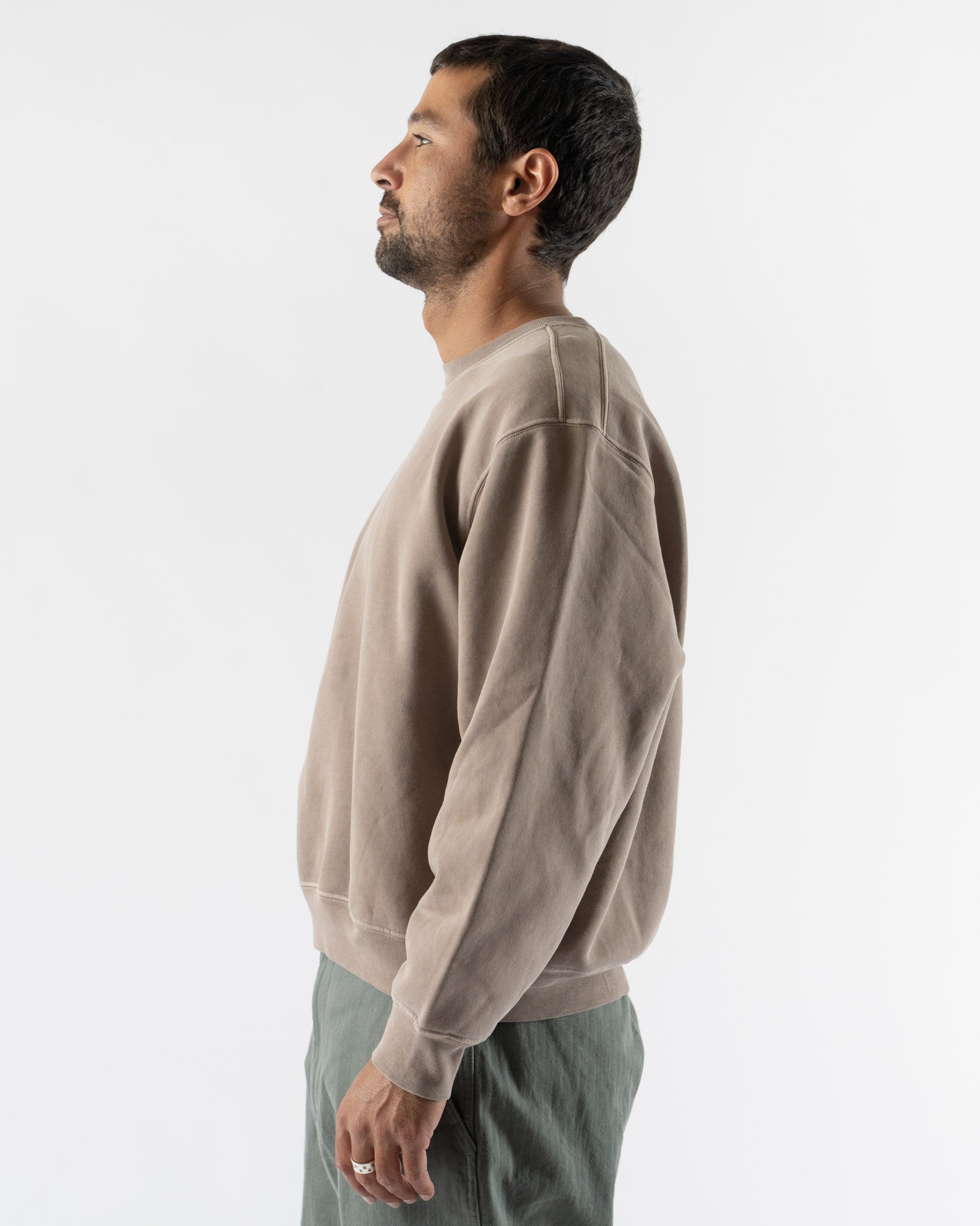 Lady White Co. Mini Crewneck in Pigment Elm