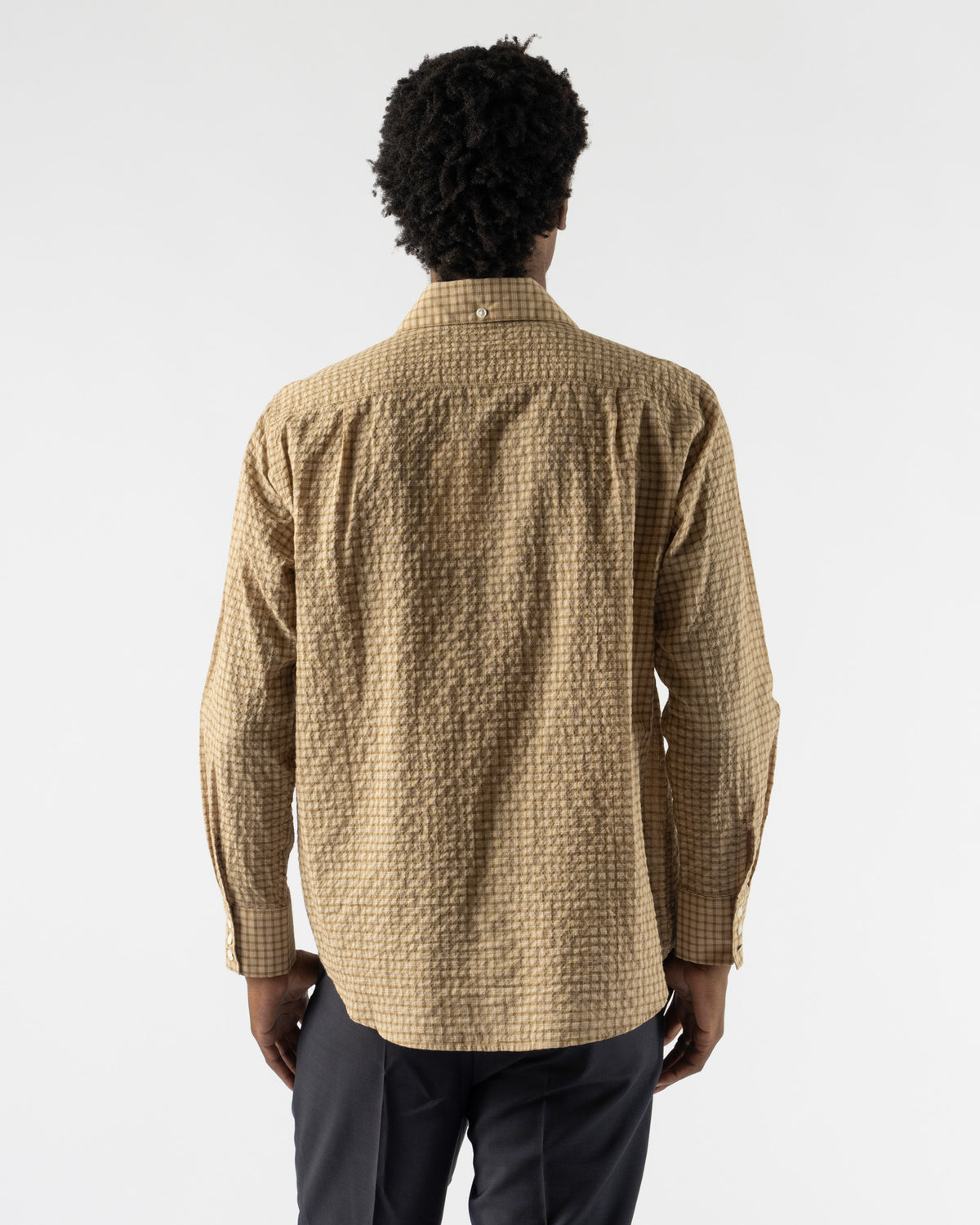 Carter Young Business Shirt in Cedar Check
