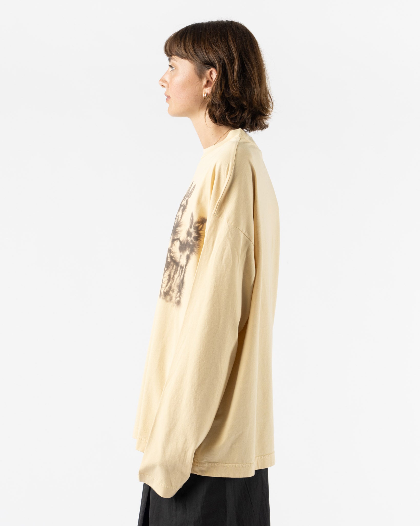 Wild Animals 3 Donkeys Longsleeve
