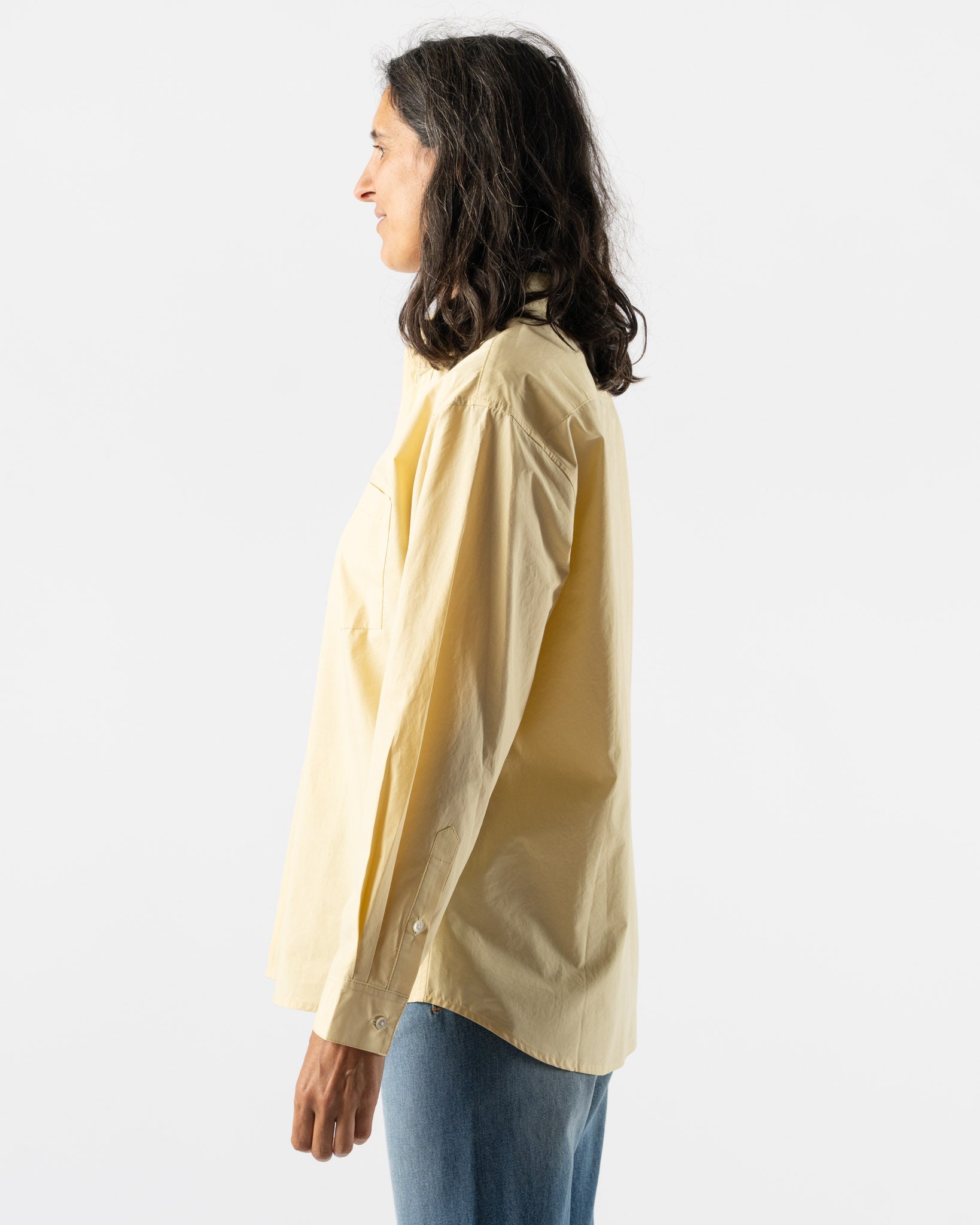 B Sides Nolan Shirt in Celery