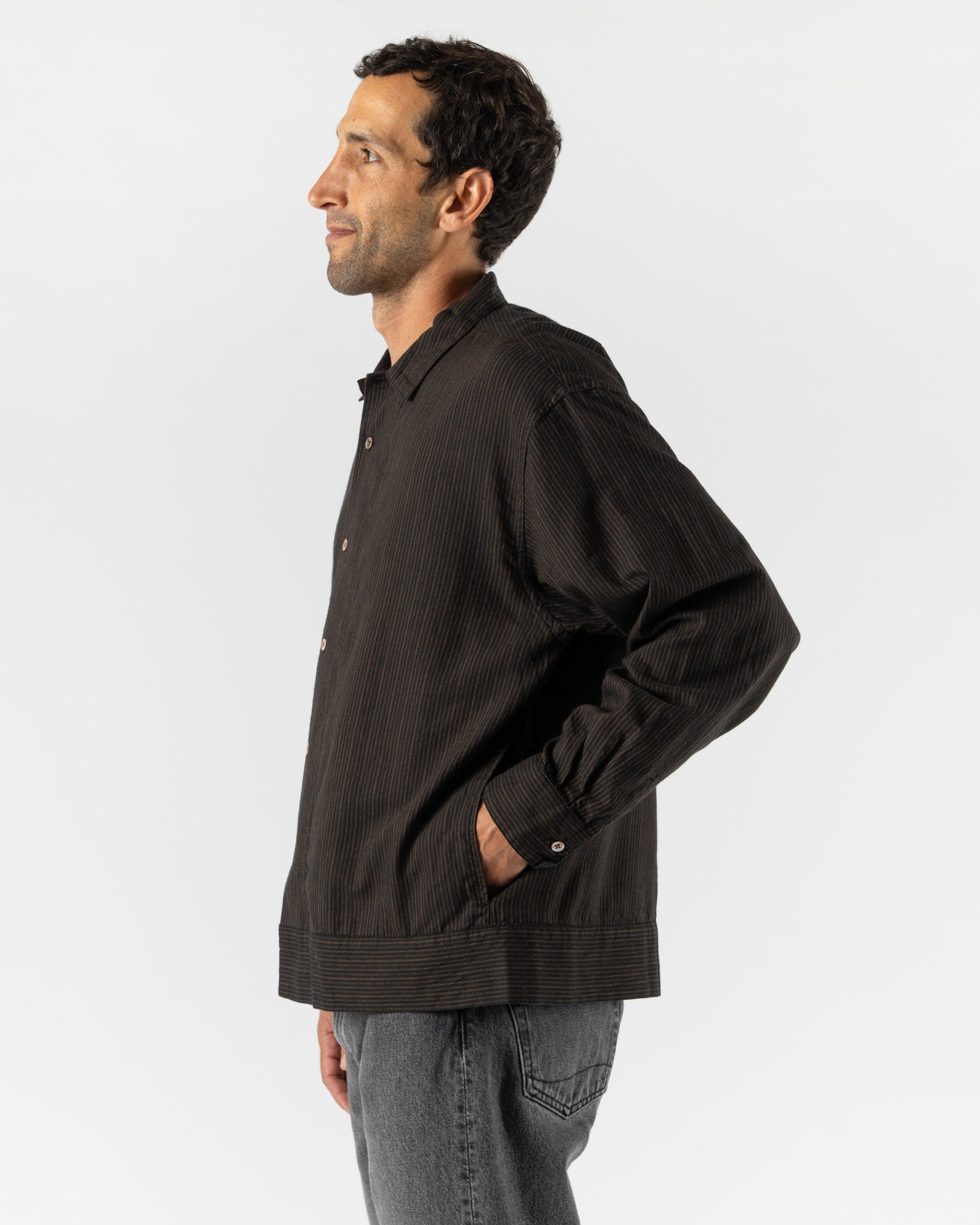 Pilgrim Surf + Supply Claud Stripe Shirt in Brown
