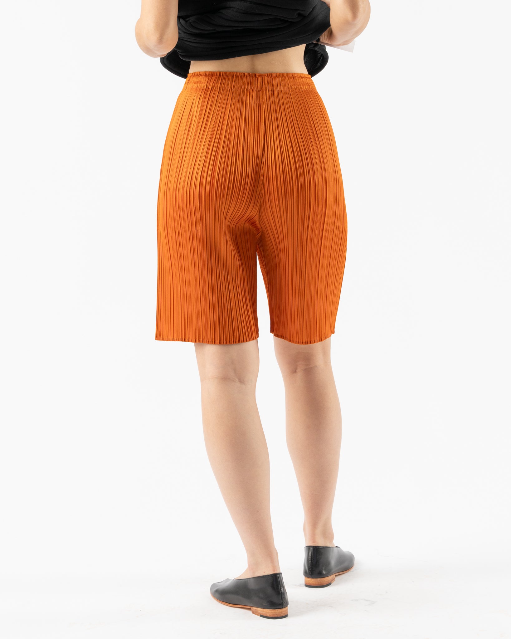 Pleats Please Issey Miyake April Monthly Colors Pants in Brown Chile