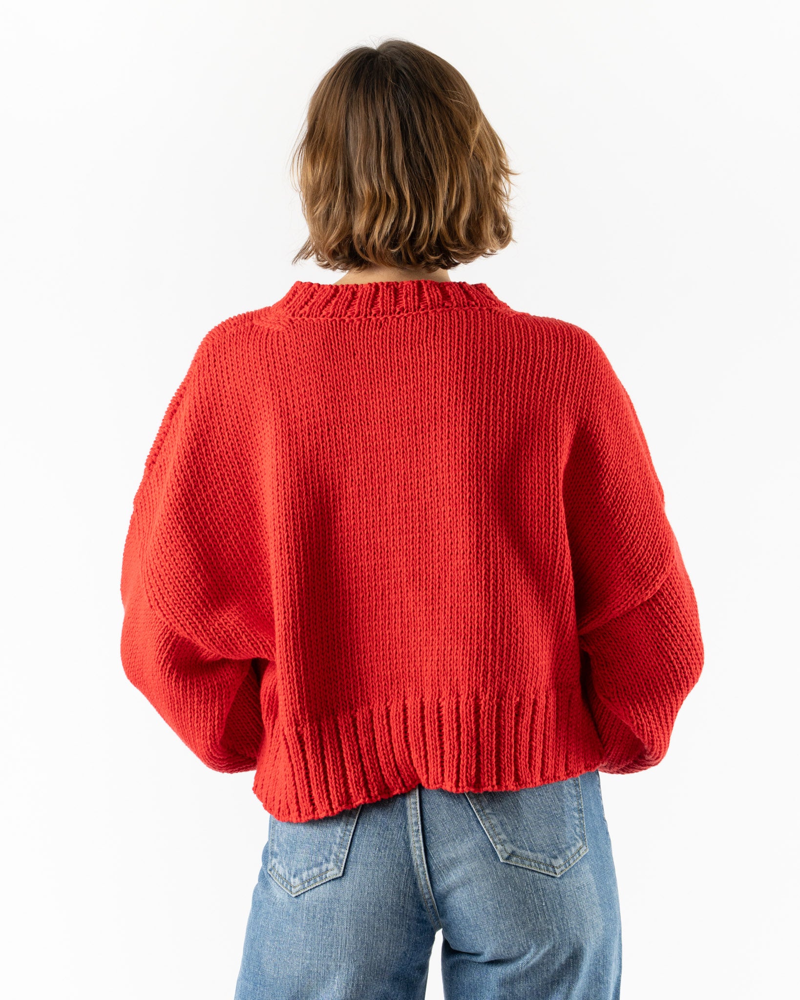 Shaina Mote Classic Crewneck in Rouge