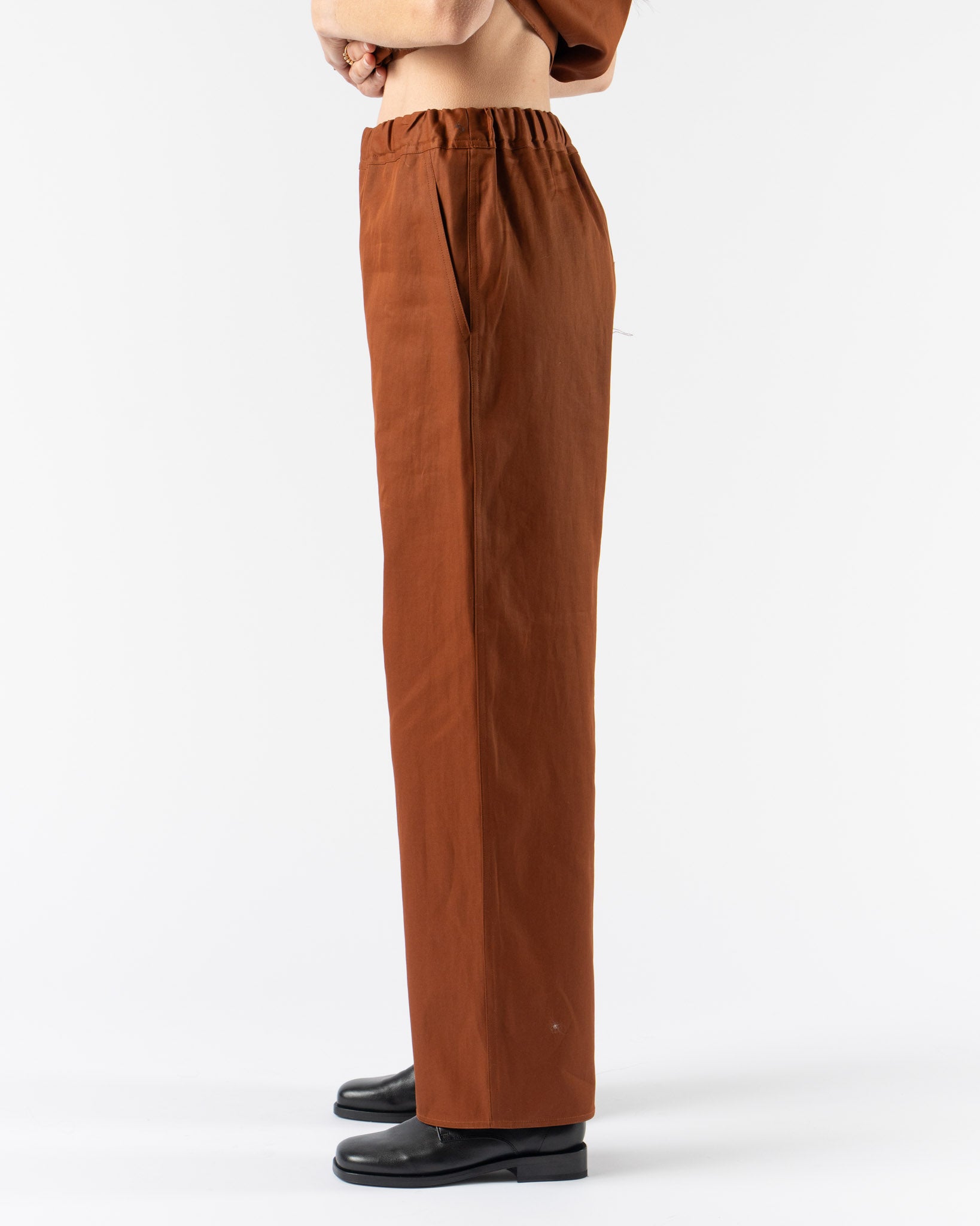 Sofie D'Hoore Plock Pants in Brick