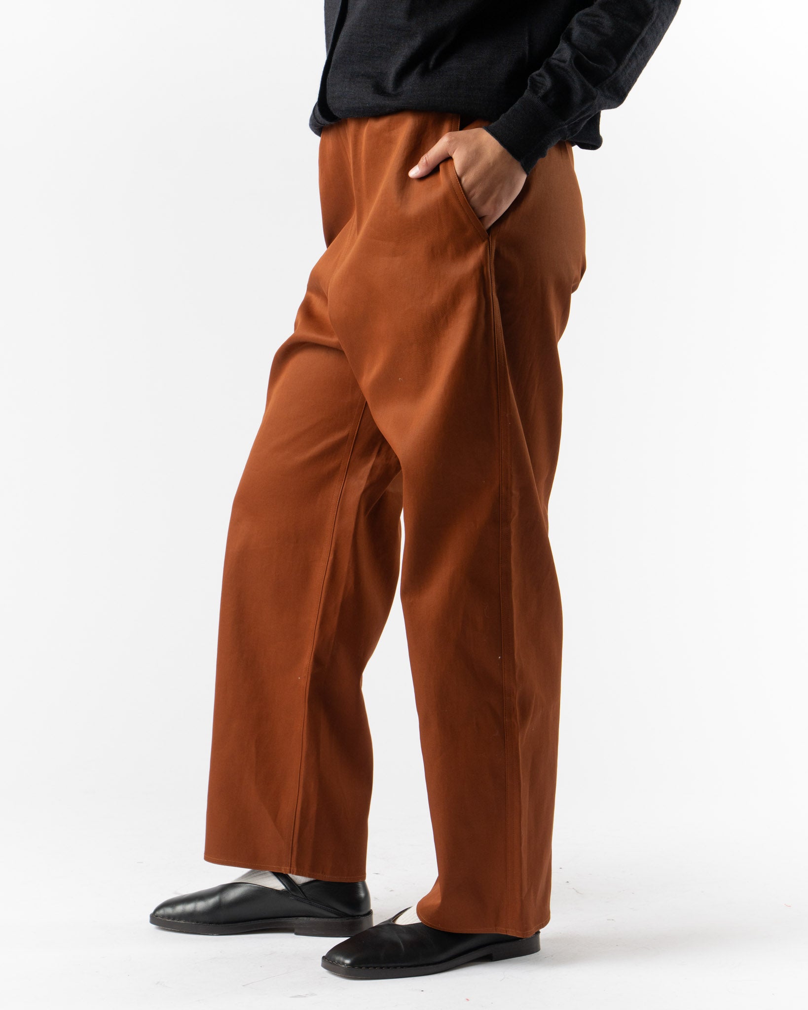 Sofie D'Hoore Plock Pants in Brick