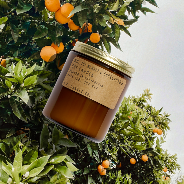 P.F. Candle Co. Neroli & Eucalyptus Candle