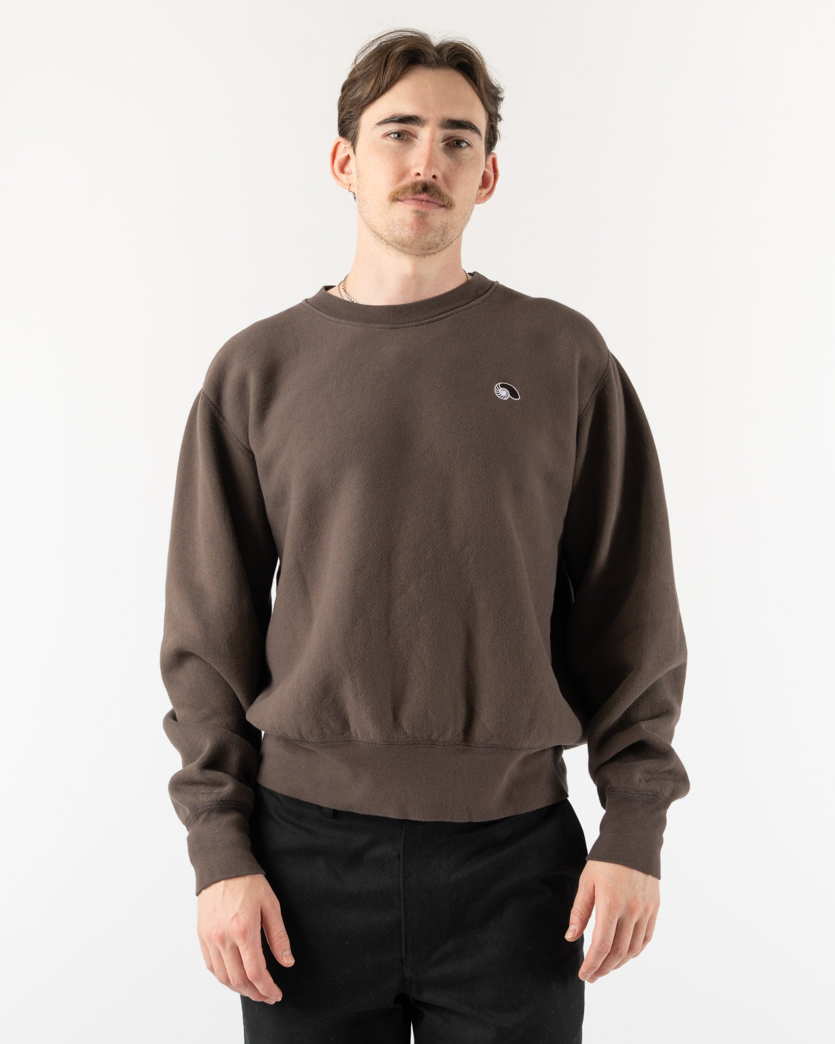 Aaron Levine Crewneck Sweatshirt in Brown