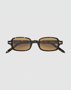 Tejesta Dixon Sunglasses in Chelonian