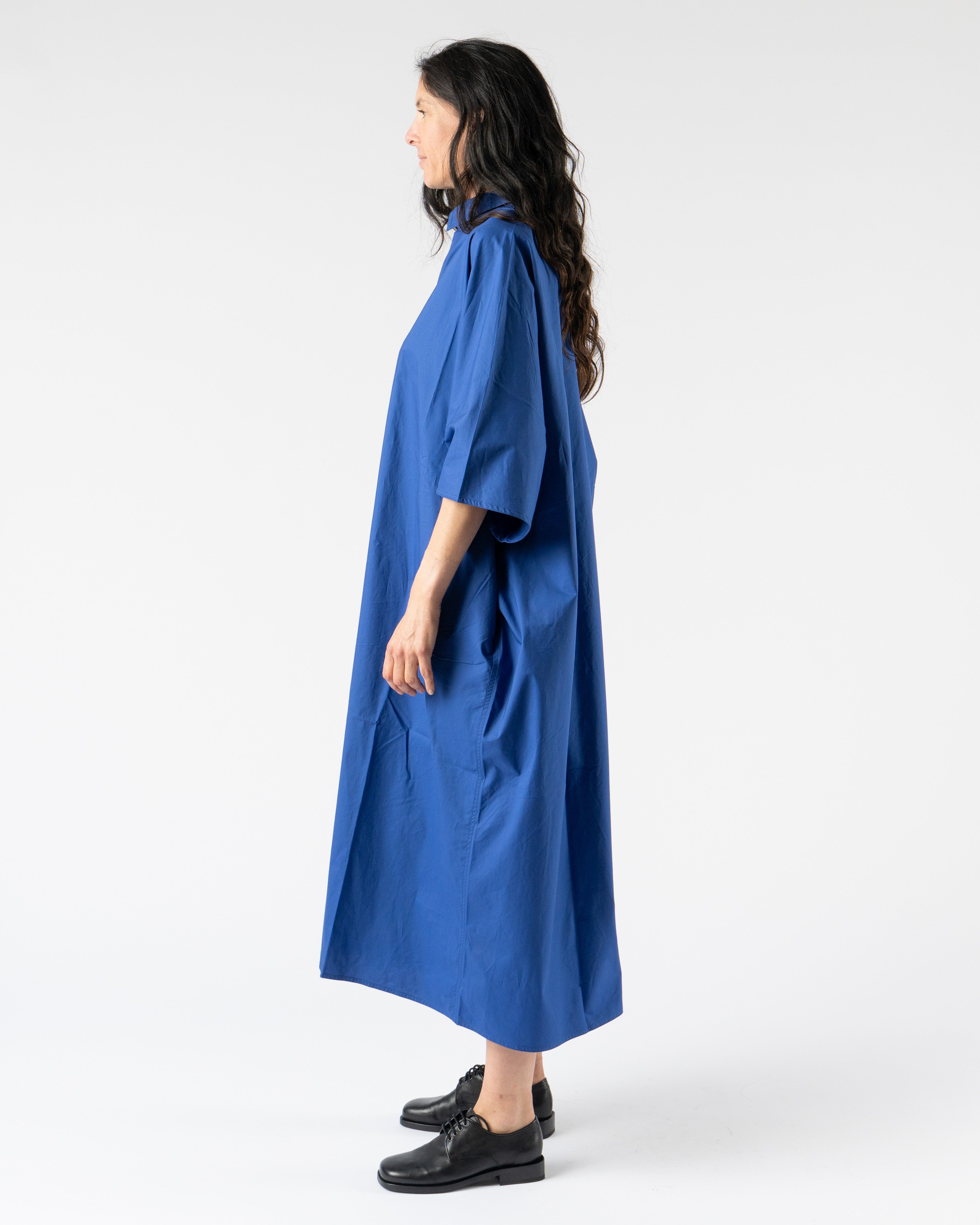Sofie D'Hoore Davoli Dress in Deleft