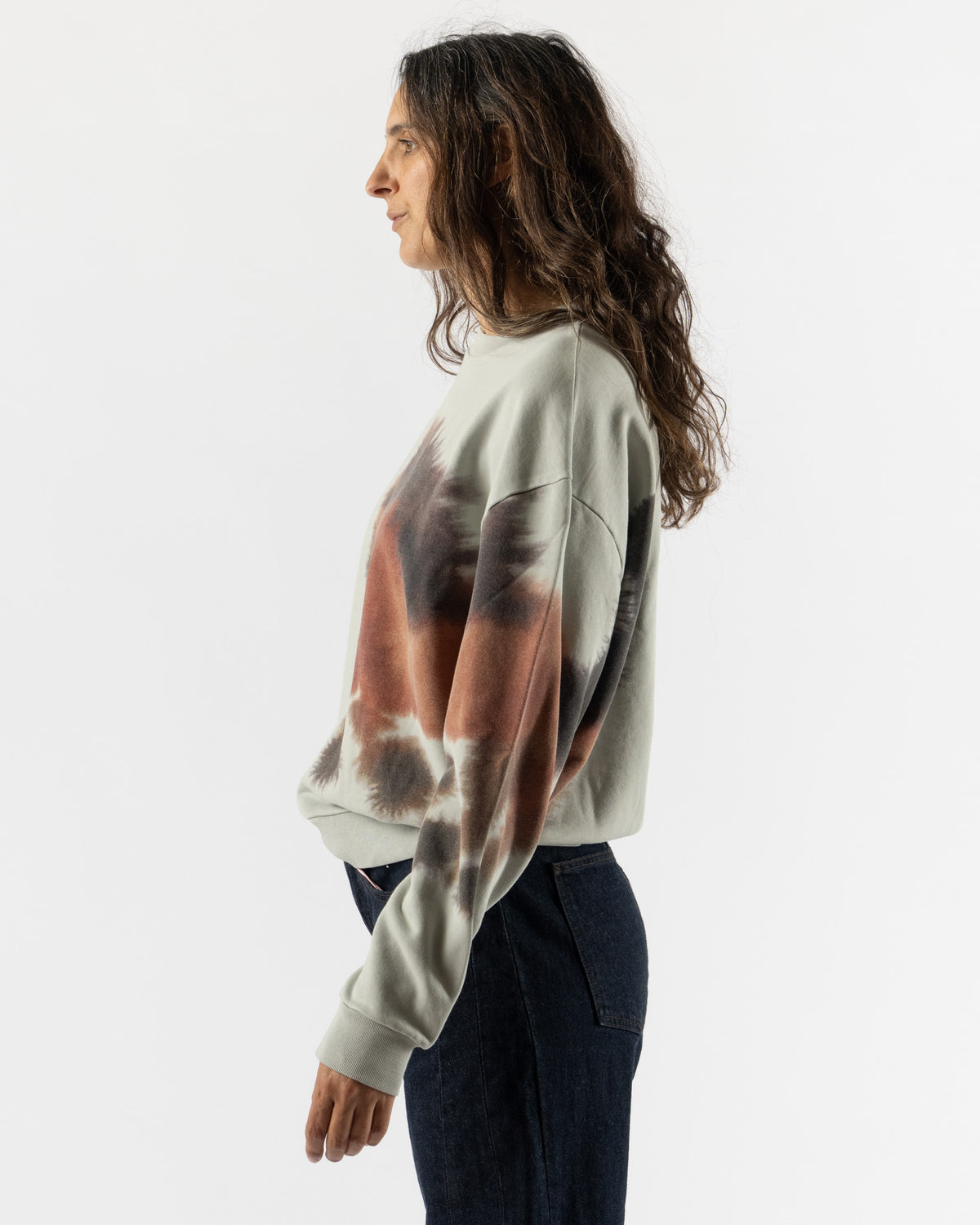 Wild Animals Horse Sweater