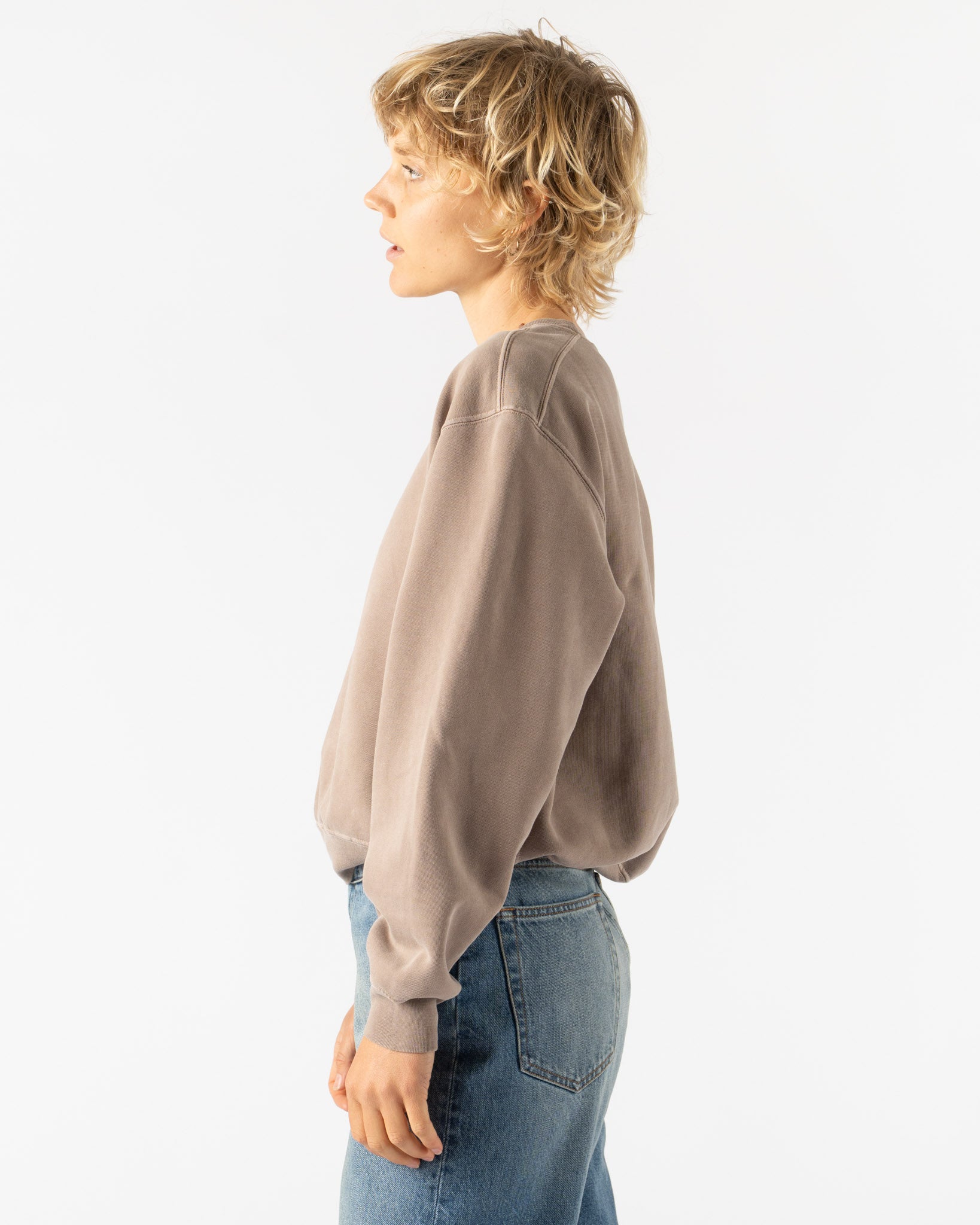 Lady White Co. Mini Crewneck in Pigment Elm