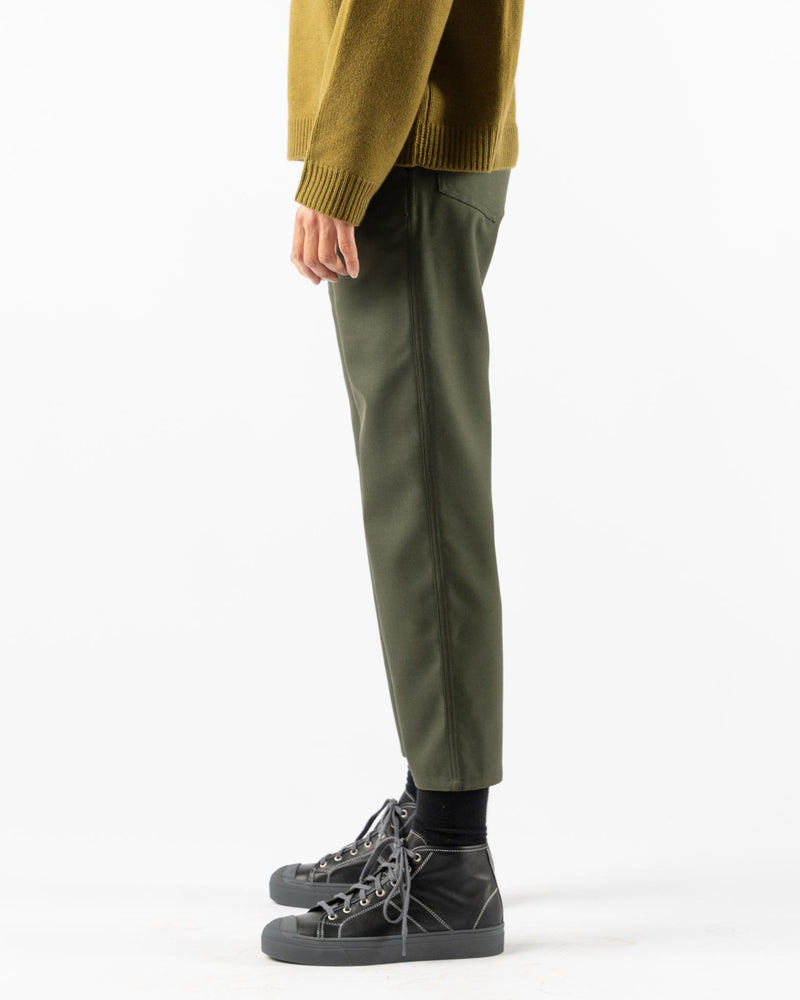 Sofie D'Hoore Pan Pants in Fern