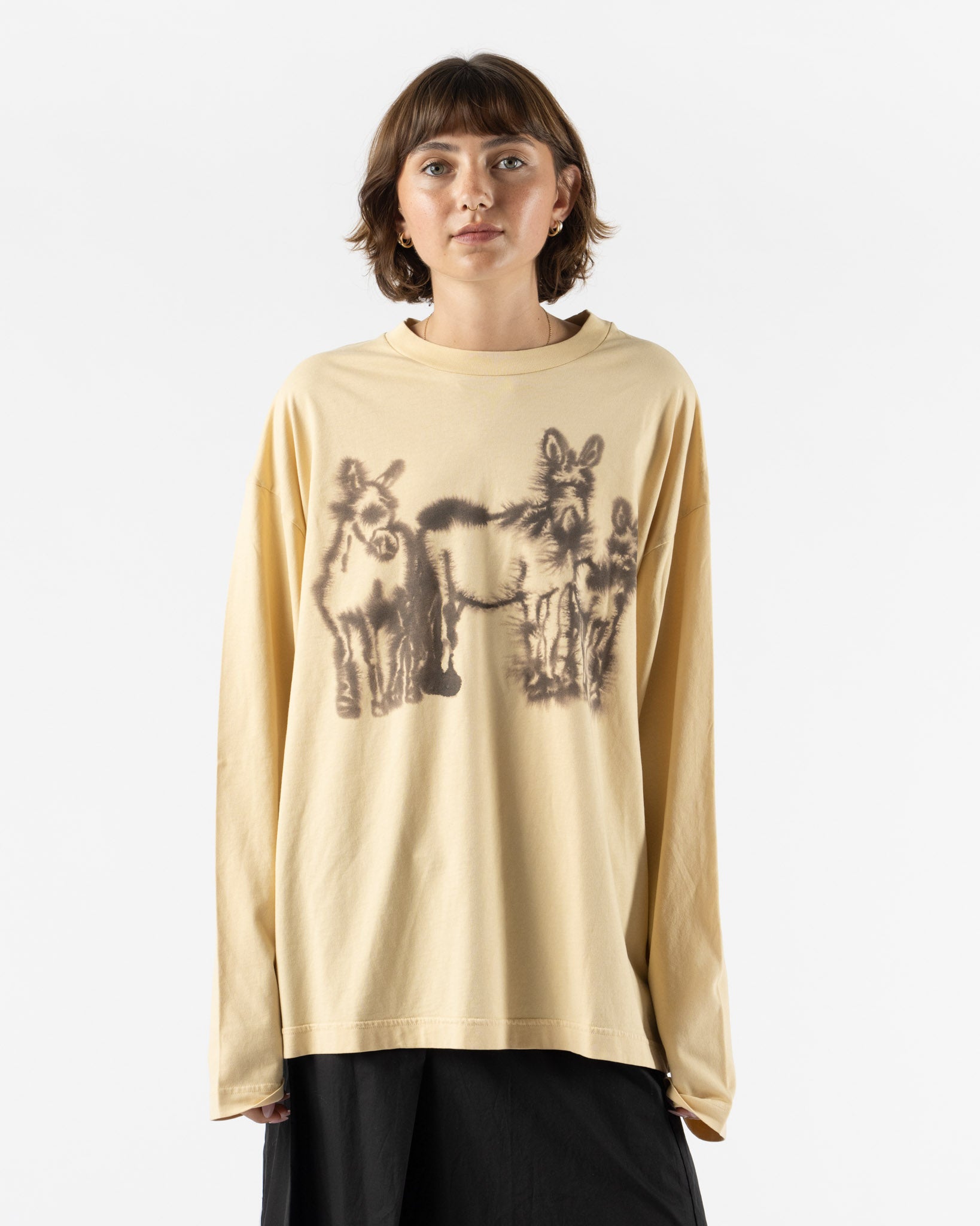 Wild Animals 3 Donkeys Longsleeve