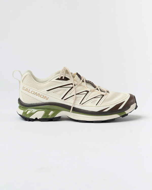Salomon SHOES XT-6 EXPANSE CANVAS Vanila/Black Coffee