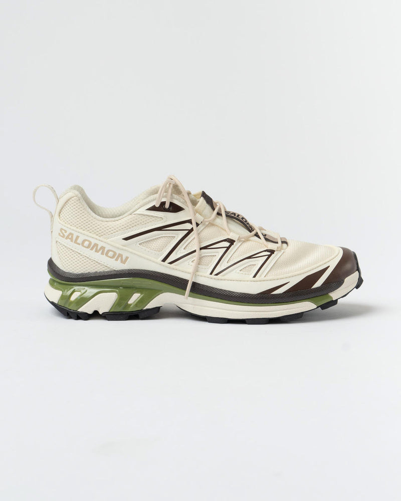 Salomon SHOES XT-6 EXPANSE CANVAS Vanila/Black Coffee