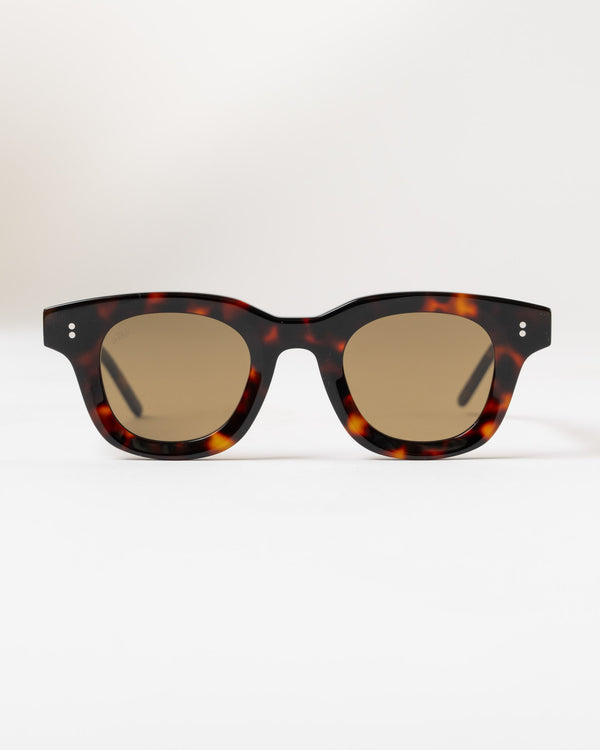 AKILA APOLLO Sunglasses in Tortoise/Brown