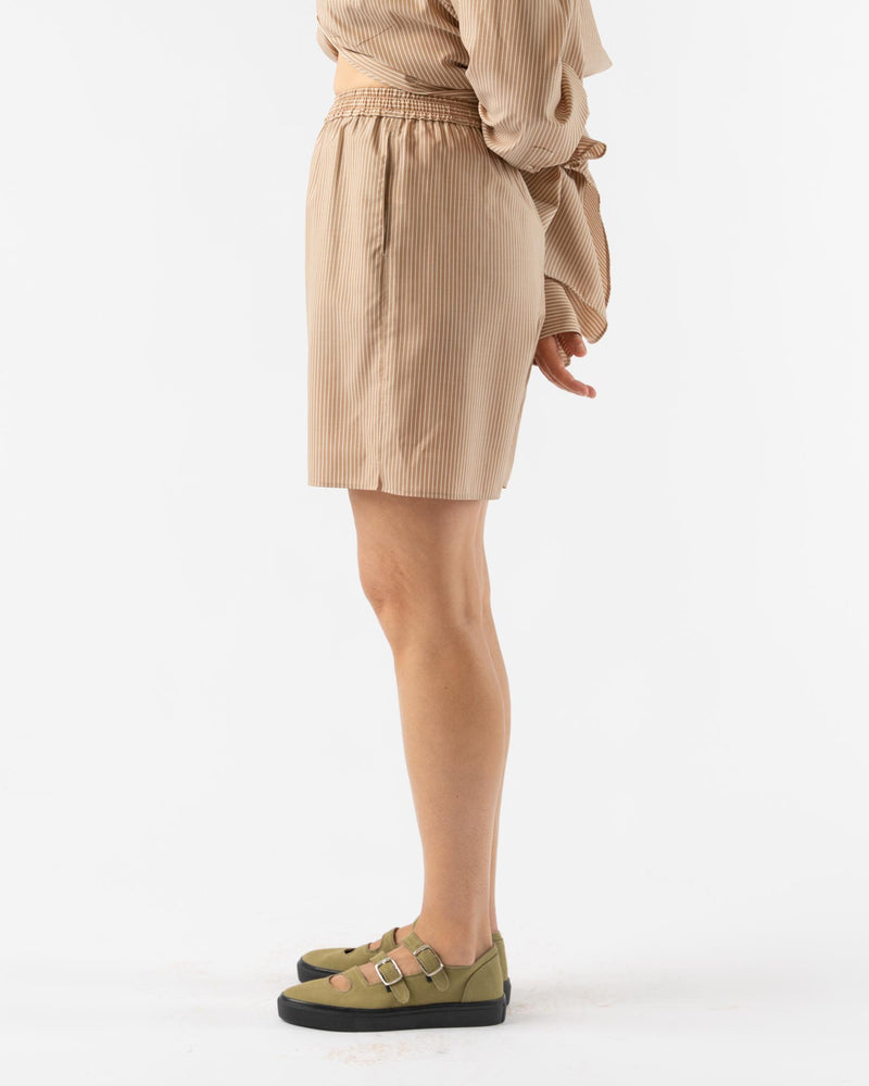 Auralee Super Fine Wool Stripe Shorts in Light Brown Stripe