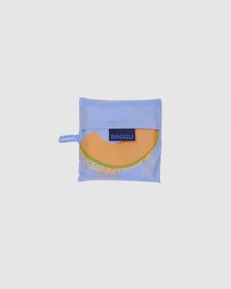 Baggu Standard Baggu in Cantaloupe Blue