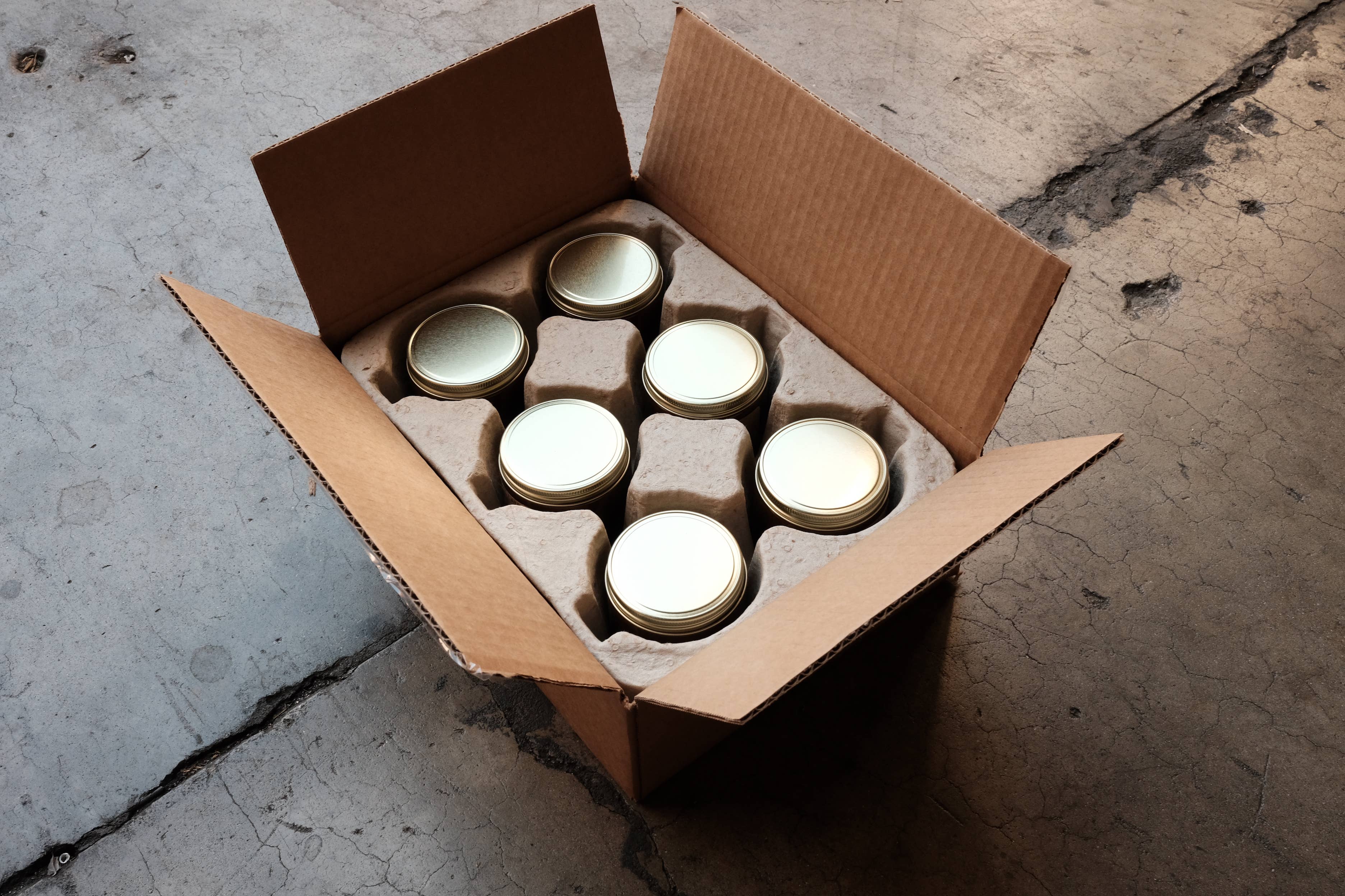 P.F. Candle Co. - Amber & Moss - 7.2 oz Standard Soy Candle