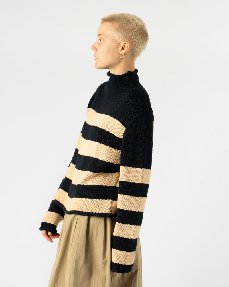 Carter Young Striped Roll Neck Sweater in Navy/Maize