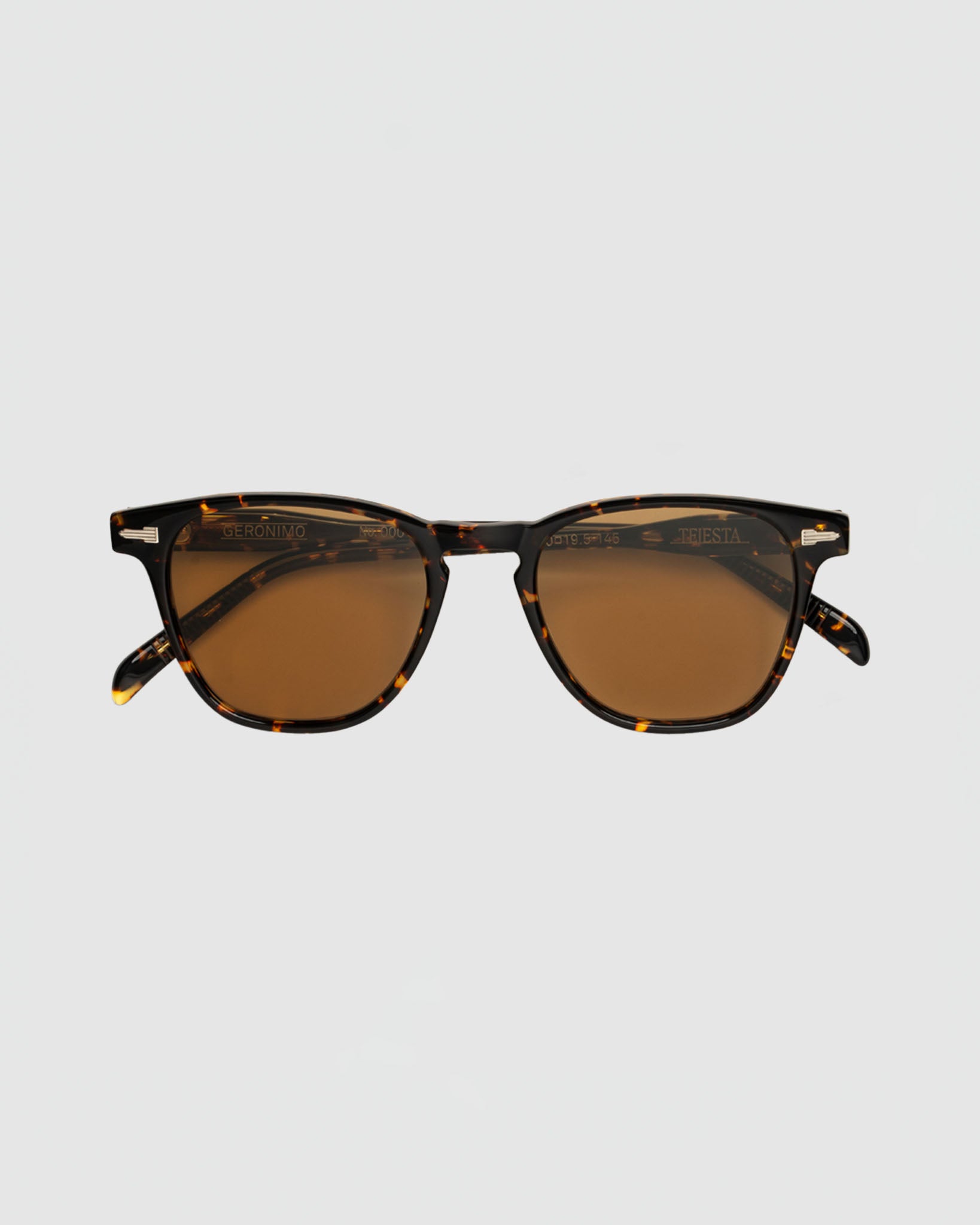 Tejesta Geronimo Sunglasses in Chelonian
