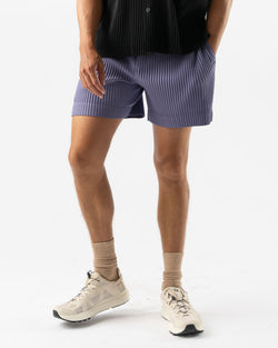 Homme Plissé Issey Miyake Monthly Colors July Shorts