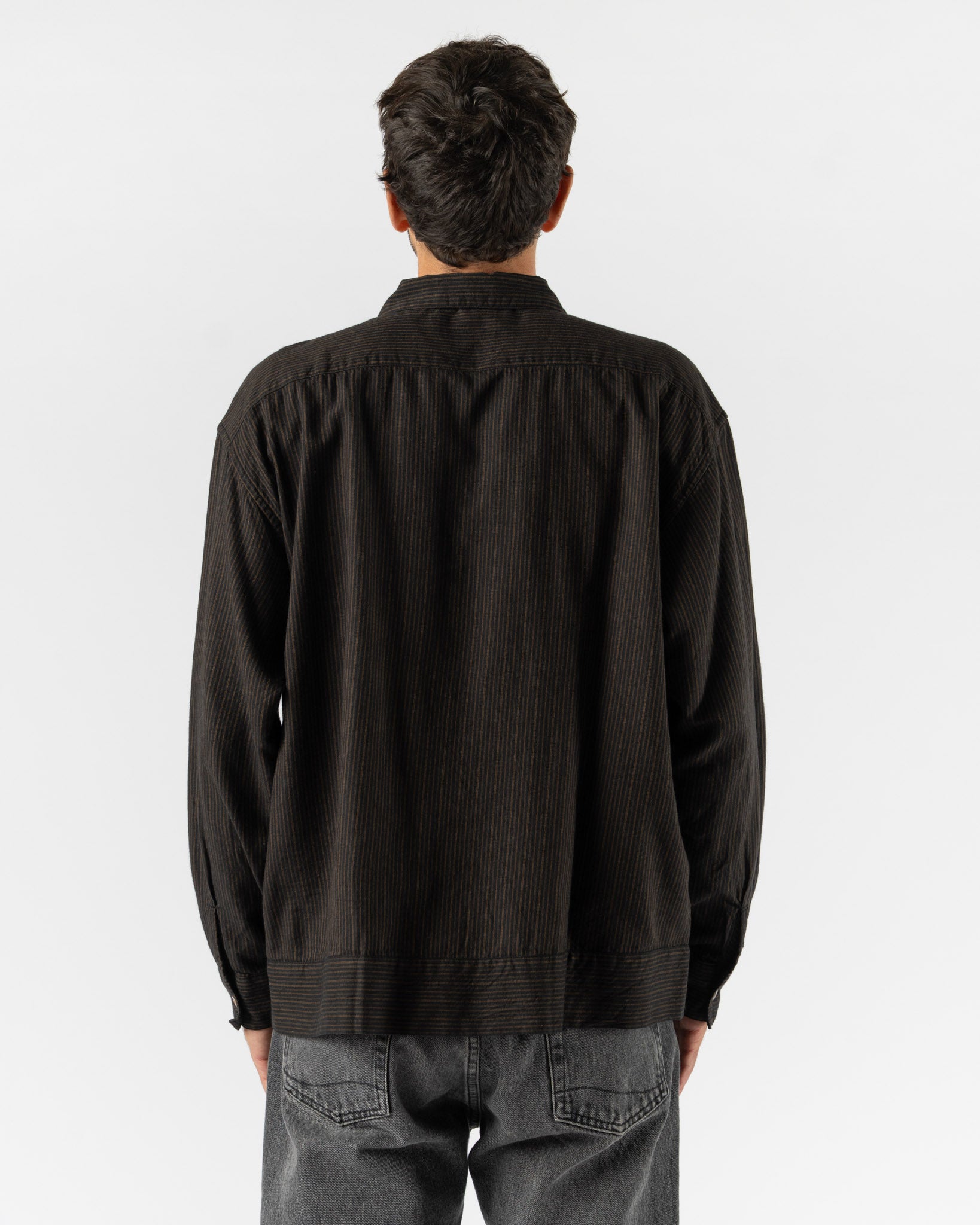 Pilgrim Surf + Supply Claud Stripe Shirt in Brown