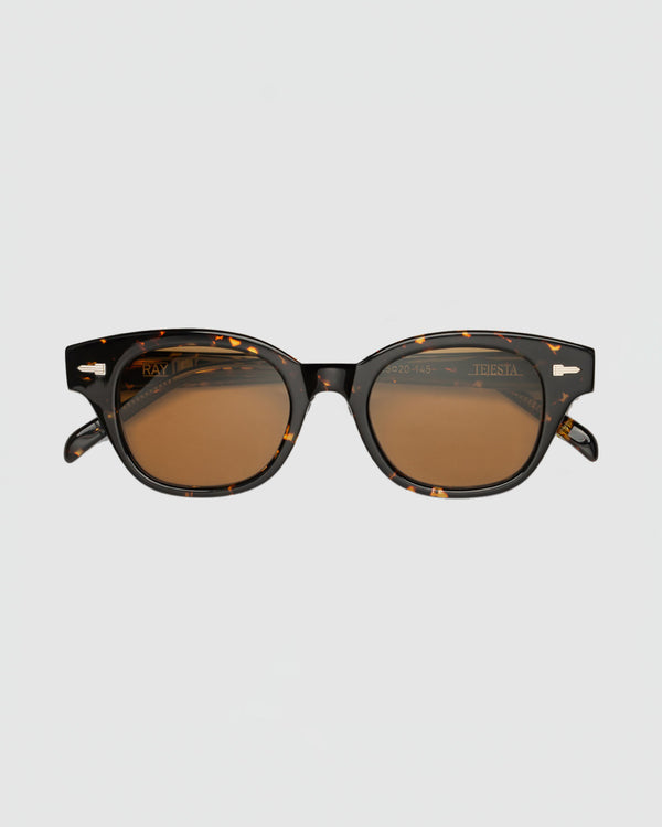 Tejesta Ray Sunglasses in Chelonian