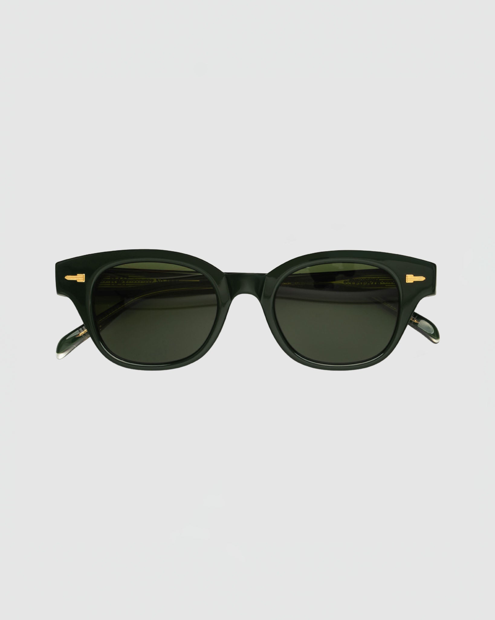 Tejesta Ray Sunglasses in BRG