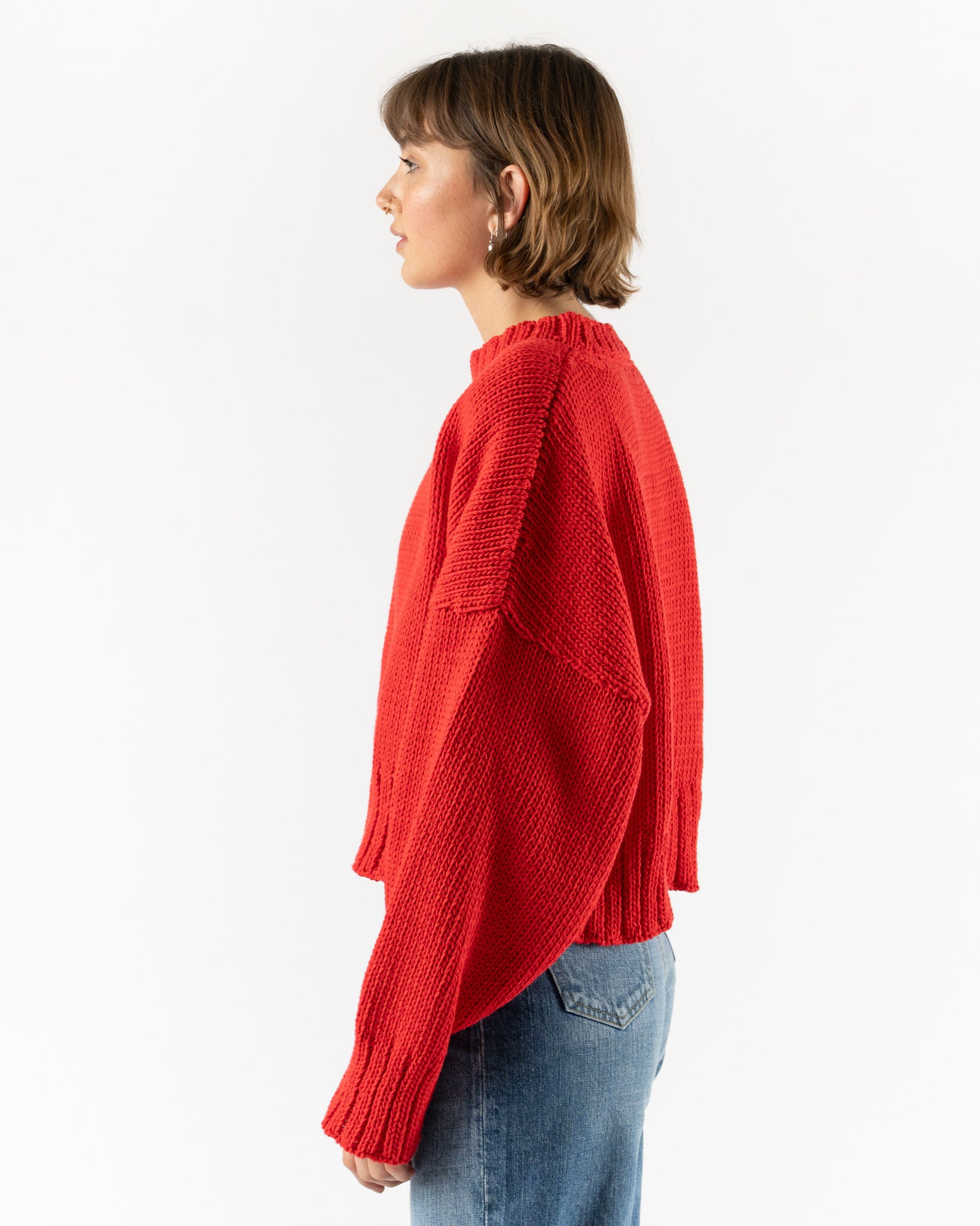 Shaina Mote Classic Crewneck in Rouge
