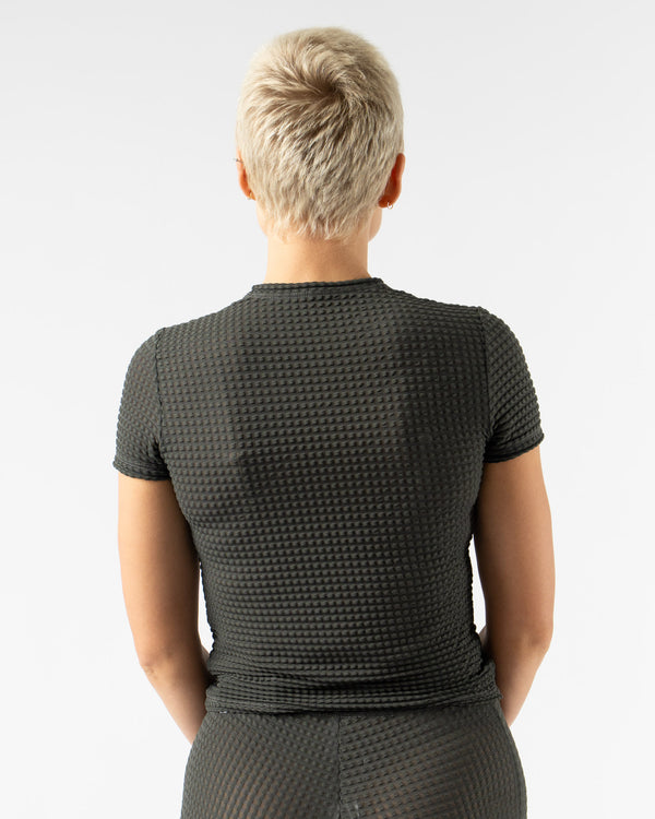 Simone Wild Tiny Tee in Stone