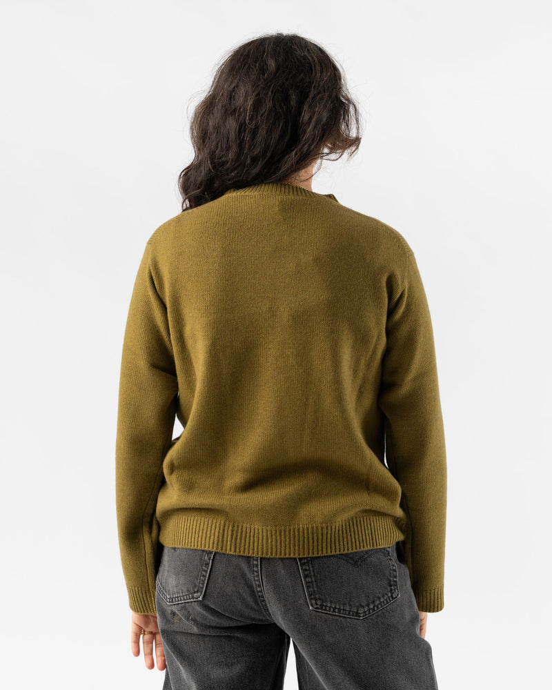 Sofie D'Hoore Moody Sweater in Olive