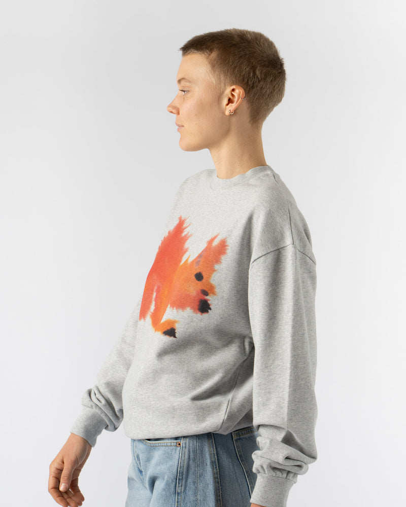 Wild Animals Squirrel Crewneck