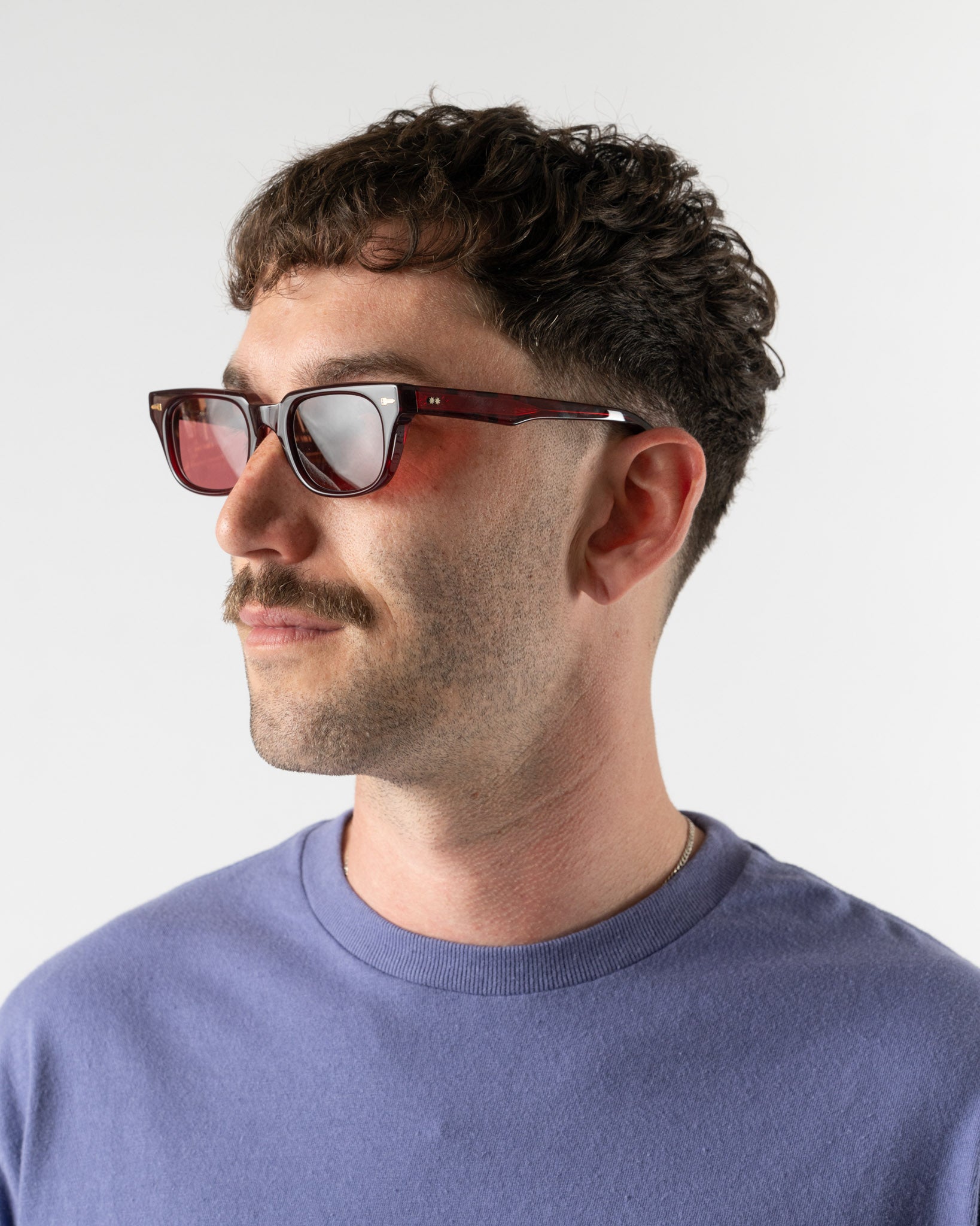 Tejesta Erte Burgundy Sunglasses
