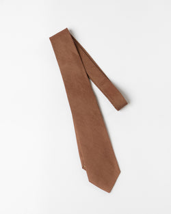 ts(s) Neck Tie in Brown