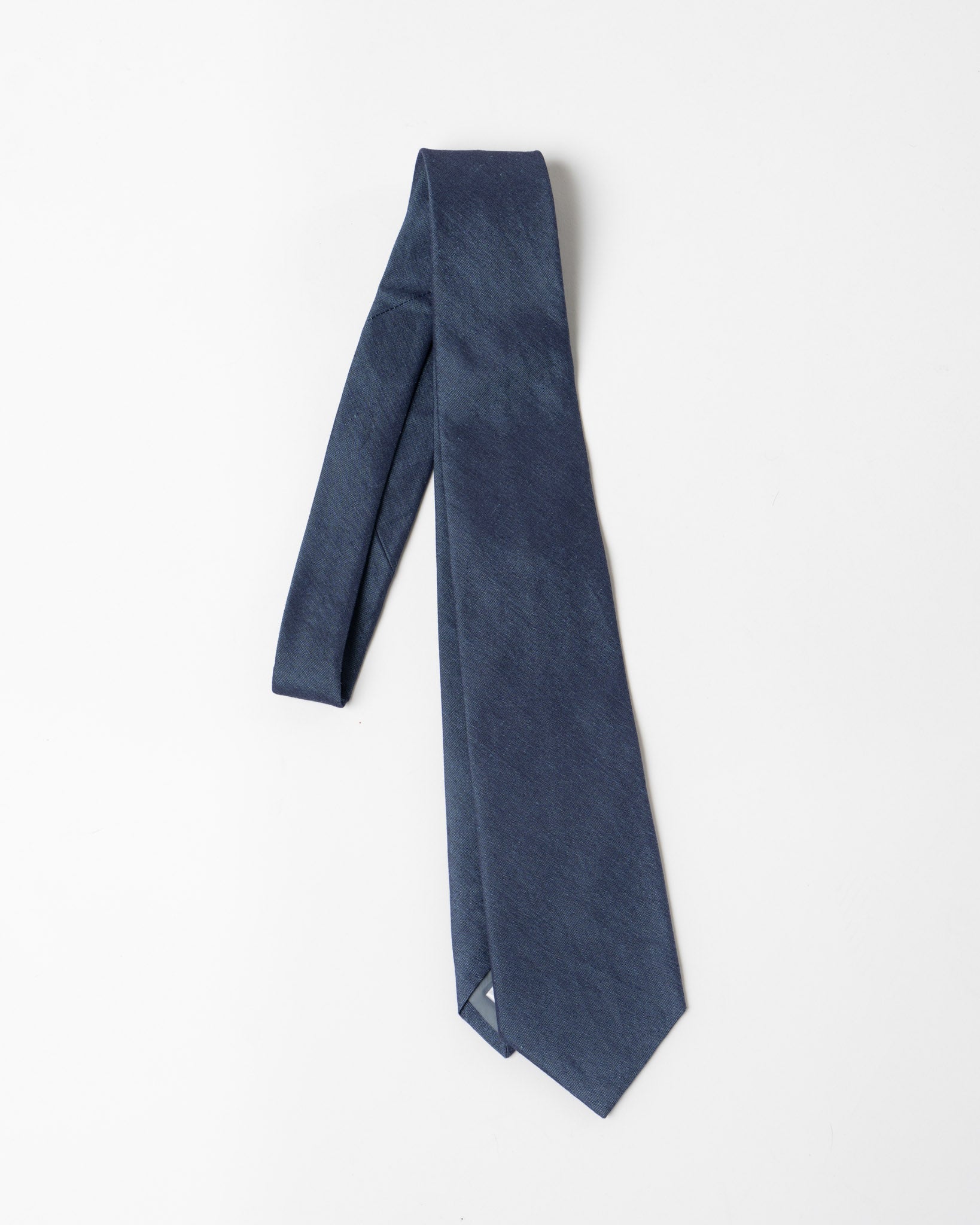 ts(s) Neck Tie in Blue