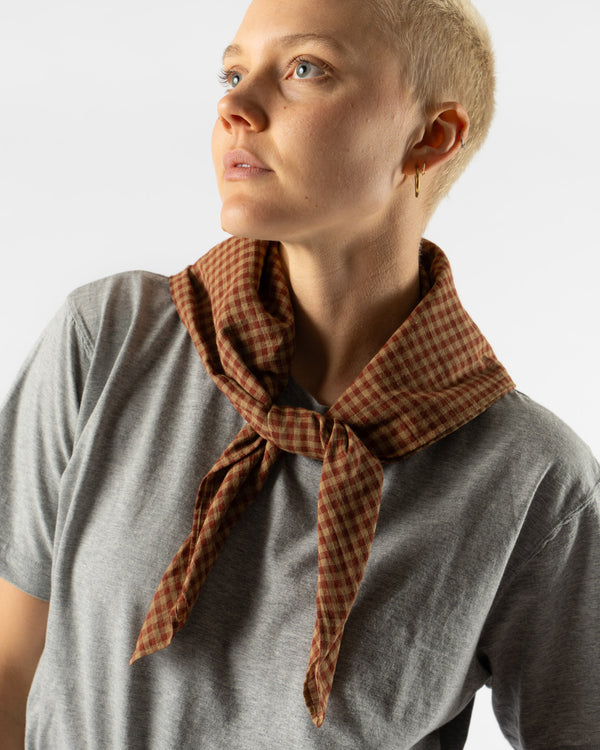 ts(s) Bandana Scarf in Brown/Beige