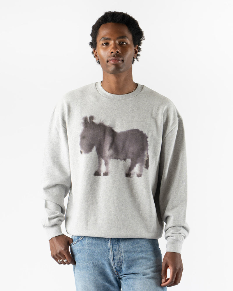 Wild Animals Donkey Crewneck