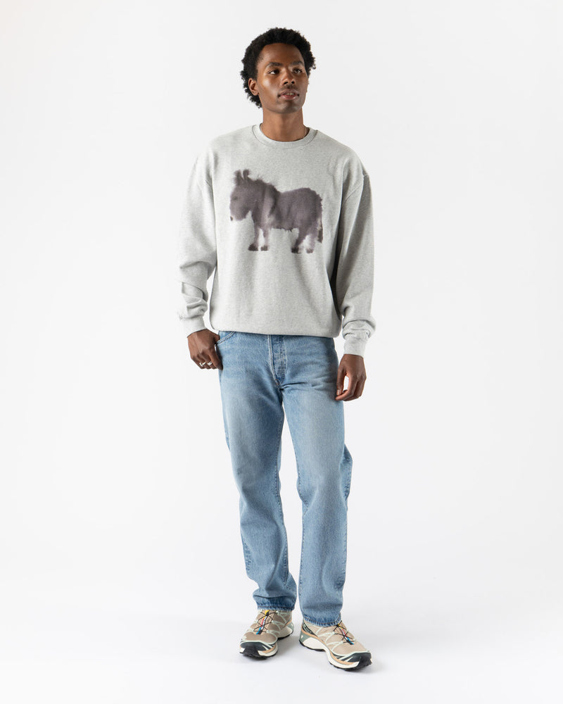 Wild Animals Donkey Crewneck