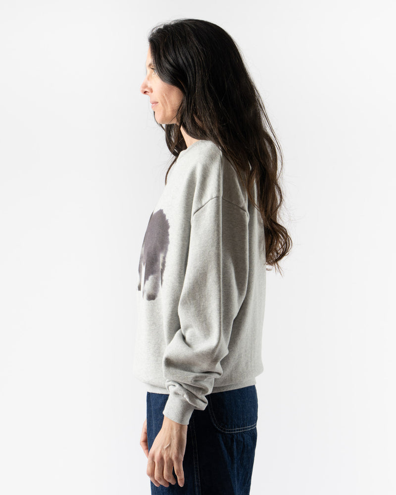 Wild Animals Donkey Crewneck