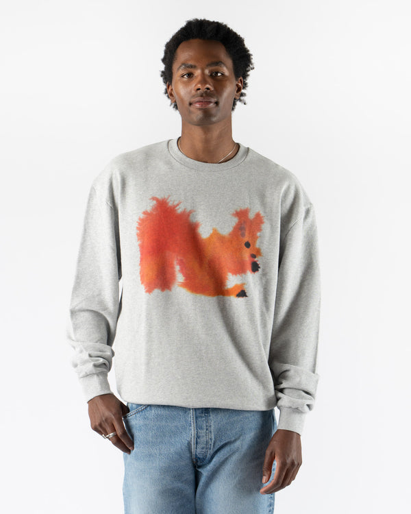 Wild Animals Squirrel Crewneck