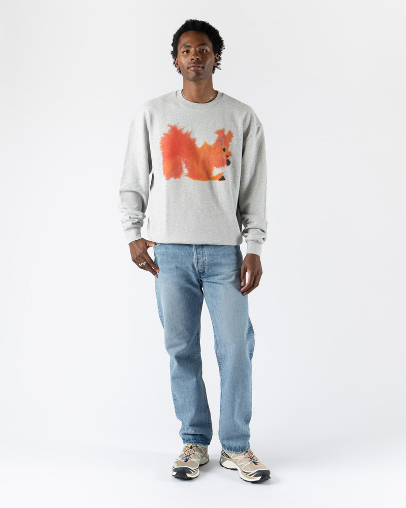 Wild Animals Squirrel Crewneck